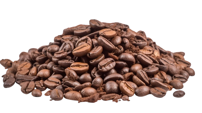 Kodiak espresso medium roast whole beans